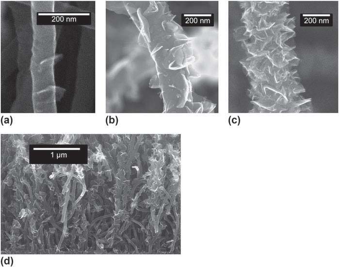 Graphenated Carbon Nanotubes (g-CNTs)